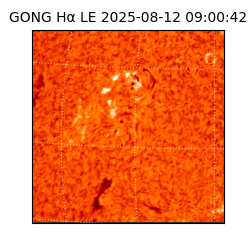 gong - 2025-08-12T09:00:42