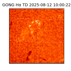 gong - 2025-08-12T10:00:22