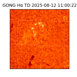 gong - 2025-08-12T11:00:22