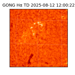 gong - 2025-08-12T12:00:22