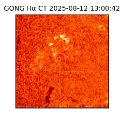 gong - 2025-08-12T13:00:42