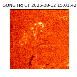 gong - 2025-08-12T15:01:42