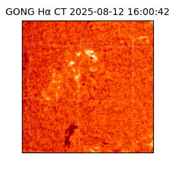 gong - 2025-08-12T16:00:42