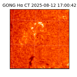 gong - 2025-08-12T17:00:42