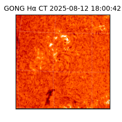 gong - 2025-08-12T18:00:42