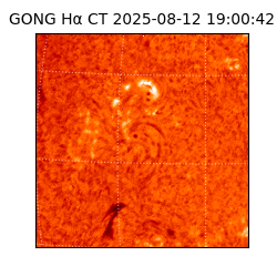 gong - 2025-08-12T19:00:42