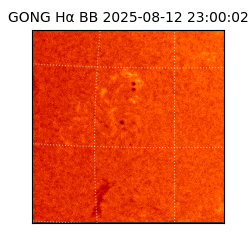 gong - 2025-08-12T23:00:02