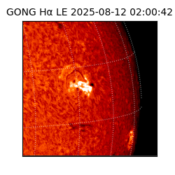 gong - 2025-08-12T02:00:42