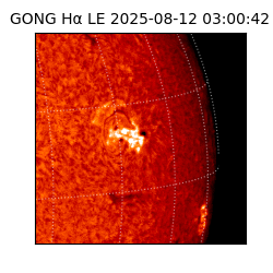 gong - 2025-08-12T03:00:42