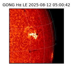 gong - 2025-08-12T05:00:42