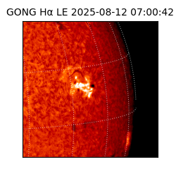 gong - 2025-08-12T07:00:42