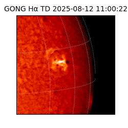 gong - 2025-08-12T11:00:22