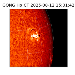 gong - 2025-08-12T15:01:42