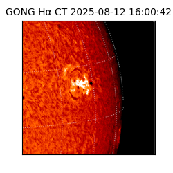 gong - 2025-08-12T16:00:42