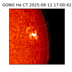 gong - 2025-08-12T17:00:42