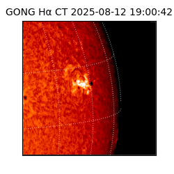 gong - 2025-08-12T19:00:42