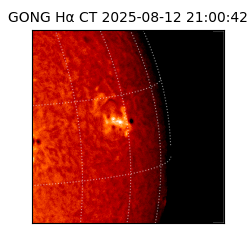 gong - 2025-08-12T21:00:42