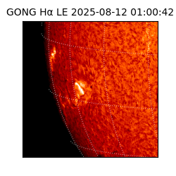 gong - 2025-08-12T01:00:42