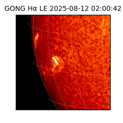 gong - 2025-08-12T02:00:42