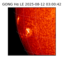 gong - 2025-08-12T03:00:42