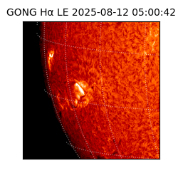 gong - 2025-08-12T05:00:42