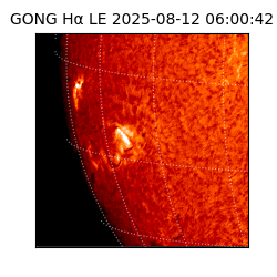 gong - 2025-08-12T06:00:42