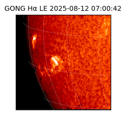 gong - 2025-08-12T07:00:42