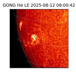 gong - 2025-08-12T08:00:42