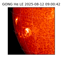 gong - 2025-08-12T09:00:42