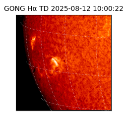 gong - 2025-08-12T10:00:22