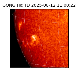 gong - 2025-08-12T11:00:22