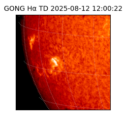 gong - 2025-08-12T12:00:22