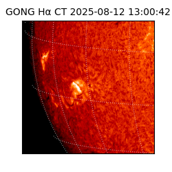 gong - 2025-08-12T13:00:42