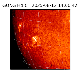 gong - 2025-08-12T14:00:42