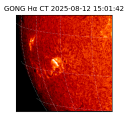gong - 2025-08-12T15:01:42