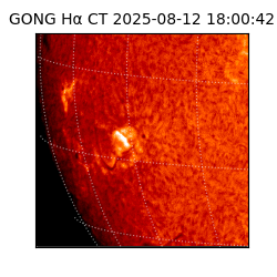 gong - 2025-08-12T18:00:42