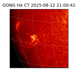 gong - 2025-08-12T21:00:42