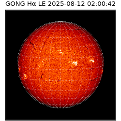 gong - 2025-08-12T02:00:42