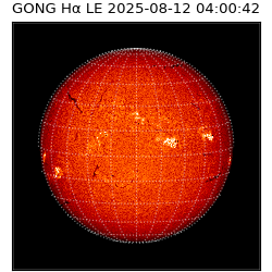 gong - 2025-08-12T04:00:42