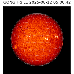 gong - 2025-08-12T05:00:42