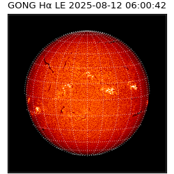 gong - 2025-08-12T06:00:42