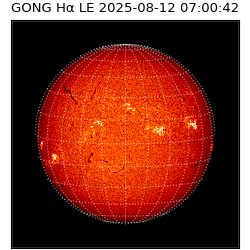 gong - 2025-08-12T07:00:42
