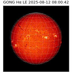 gong - 2025-08-12T08:00:42