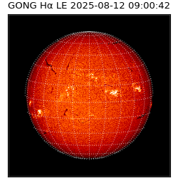 gong - 2025-08-12T09:00:42