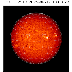 gong - 2025-08-12T10:00:22