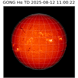 gong - 2025-08-12T11:00:22