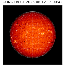 gong - 2025-08-12T13:00:42