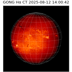 gong - 2025-08-12T14:00:42
