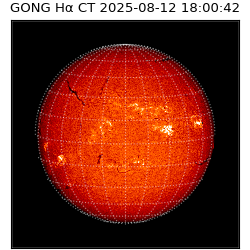 gong - 2025-08-12T18:00:42