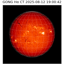 gong - 2025-08-12T19:00:42